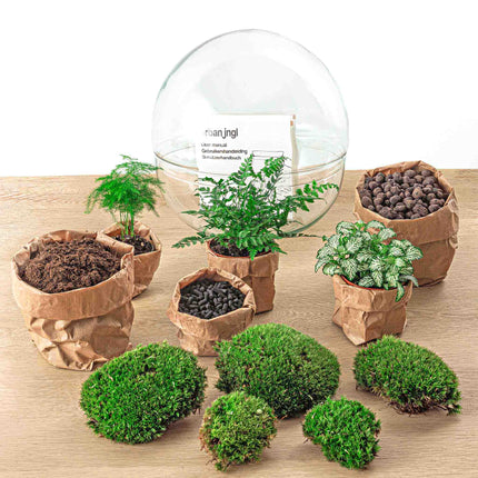 Planten terrarium - DIY - Dome XL - Ecosysteem plant - ↑ 30 cm