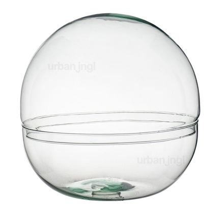 Gesloten terrarium fles - Dome XL - Koepel - Glas ↑30 cm