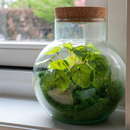 Kunstplanten terrarium - Silk Noah - 20 cm hoog met rendiermos