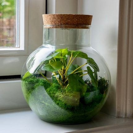 Kunstplanten terrarium - Silk Noah - 20 cm hoog met rendiermos