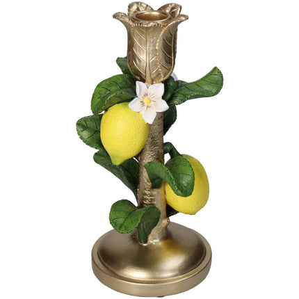 Kandelaar met citroenplant - ↑ 22 cm
