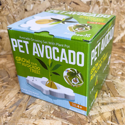 AvoSeedo Avocado kweekset voor kinderen - Kweek zelf je avocadoplant