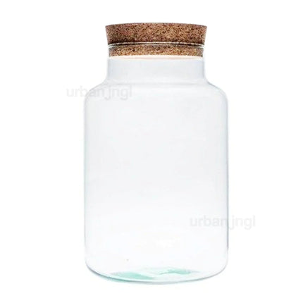 Terrarium fles met kurk - Gesloten terrarium - Milky - ↑ 30 cm