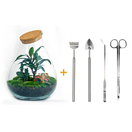 Planten terrarium - DIY - Drop XL Palm - Ecosysteem plant - ↑ 37 cm