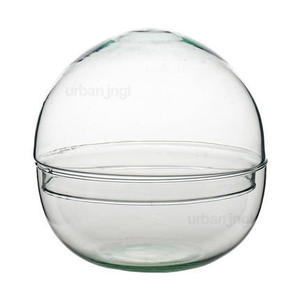 Terrarium fles - Dome - Bolglas - Stolp - Gesloten terrarium ↑20 cm