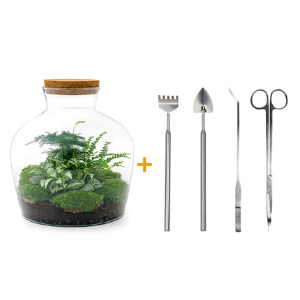 Ecosysteem plant - Fat Joe Groen - Planten terrarium - ↑ 30 cm