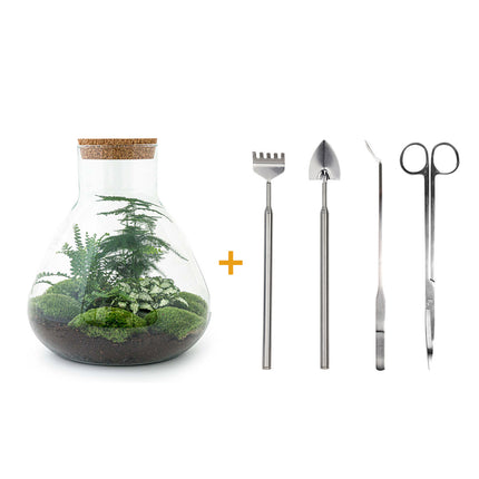 Planten terrarium - Sam XL - Ecosysteem plant - ↑ 35 cm