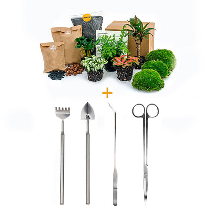 Planten terrarium pakket - Jungle 5 - Coffea - Varen - Palm - 2x Fittonia - Navulling & Startpakket- DIY