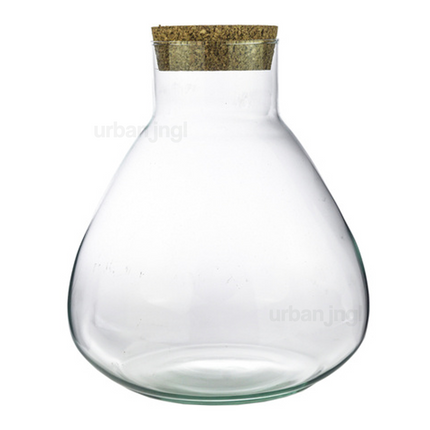 Terrarium fles met kurk - Erlenmeyer - Gesloten terrarium ↑ 35 cm