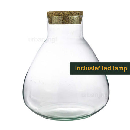 Terrarium fles met verlichting (LED) - Sam Erlenmeyer - Gesloten terrarium ↑ 30 cm