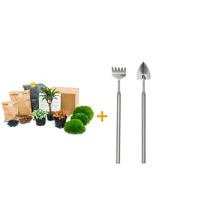 Planten terrarium pakket - Palm - Navulling & Startpakket- DIY